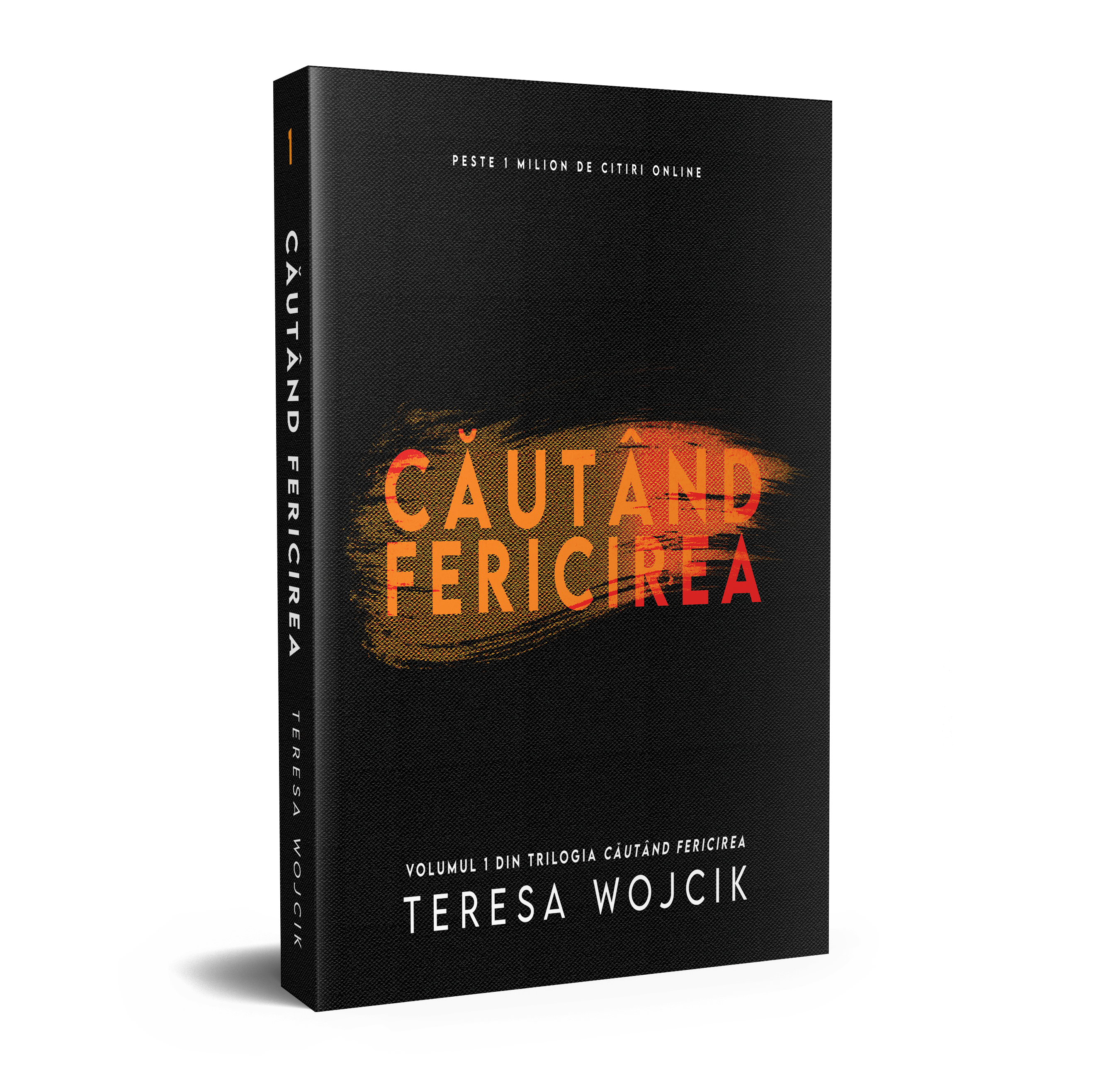 Căutând Fericirea 1